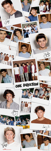 Poster One Direction - polaroids