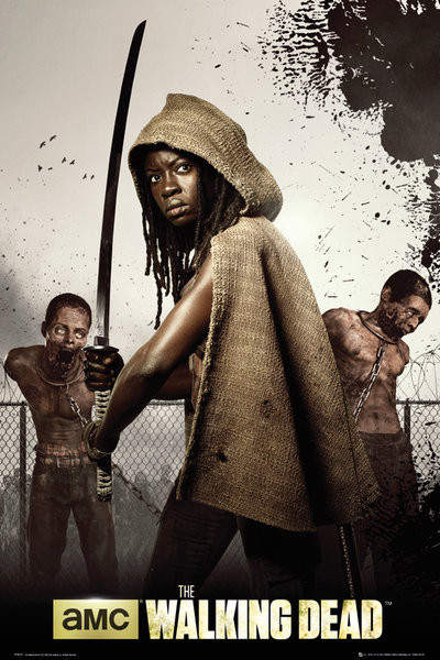 Плакат THE WALKING DEAD - michonne