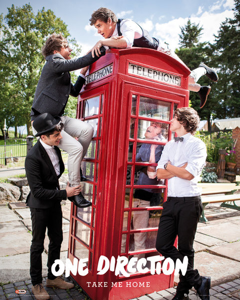 Плакат One Direction - take me home