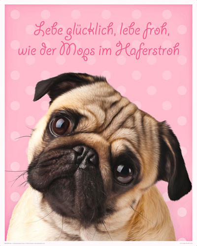 Poster Mops