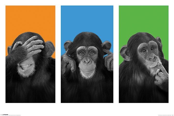 Плакат Wildside - see no evil, hear no evil, speak no evil