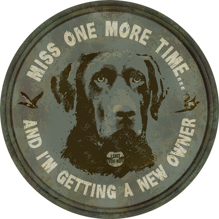 Metallikyltti Miss One More Time