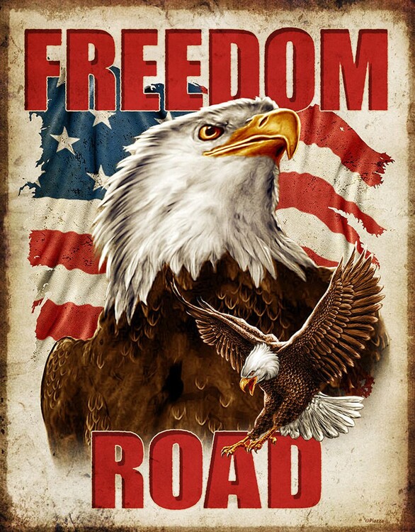 Metallikyltti Freedom Road Eagle