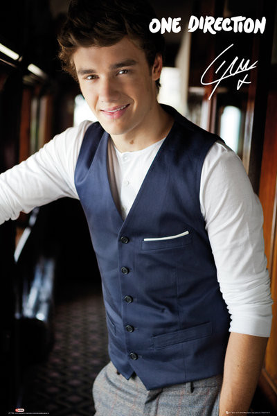 Плакат One Direction - liam portrait