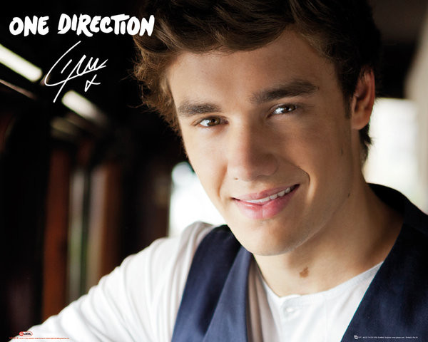 Плакат One Direction - liam