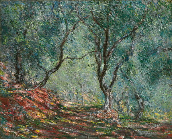 Плакат Olive Trees in the Moreno Garden, 1884