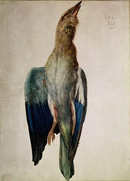 Плакат Blue Crow, 1512