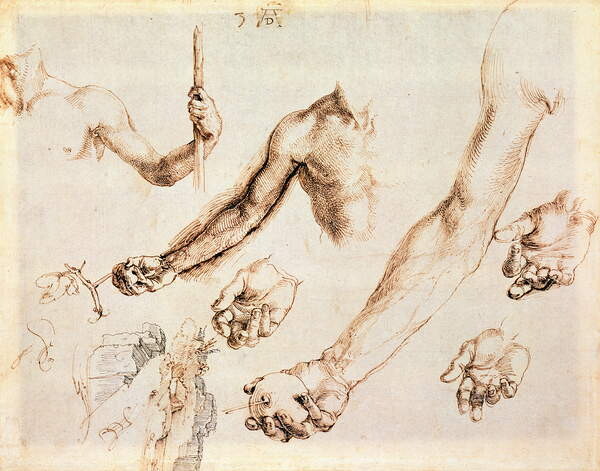 Плакат Study of male hands and arms