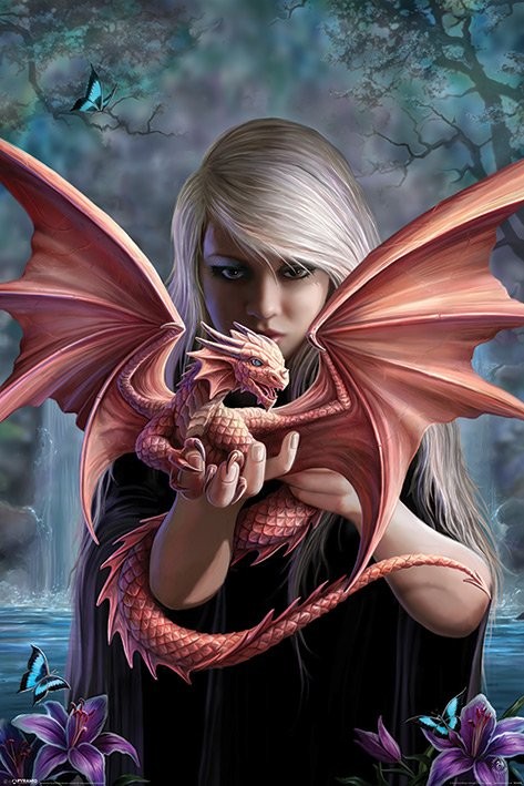 Poster Anne Stokes - dragonkin
