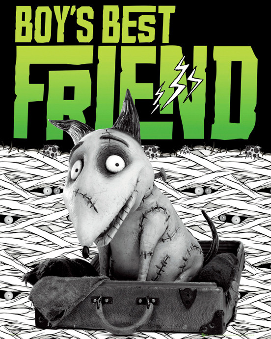 Плакат FRANKENWEENIE - best friend