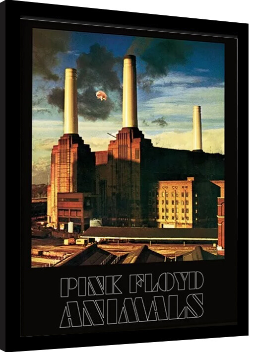 Framed Poster Pink Floyd - Animals