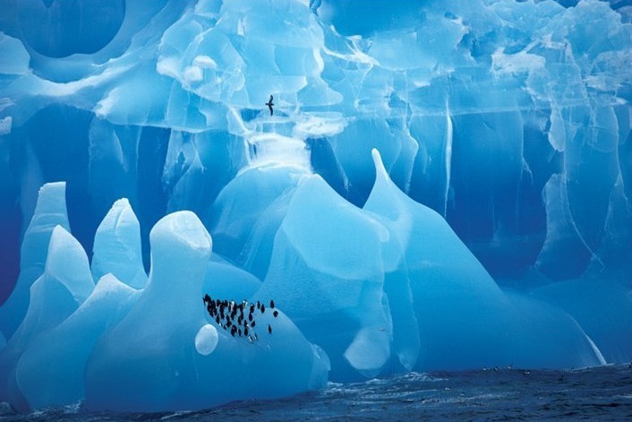 Плакат Arctic wonderland – penquins