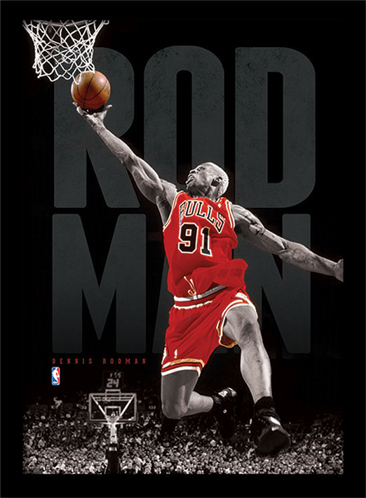 Kehystetty juliste NBA - Rodman