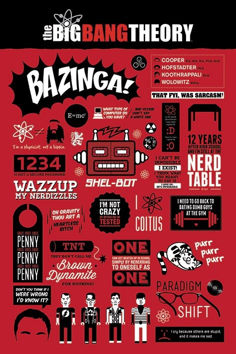 Плакат BIG BANG THEORY - infographic