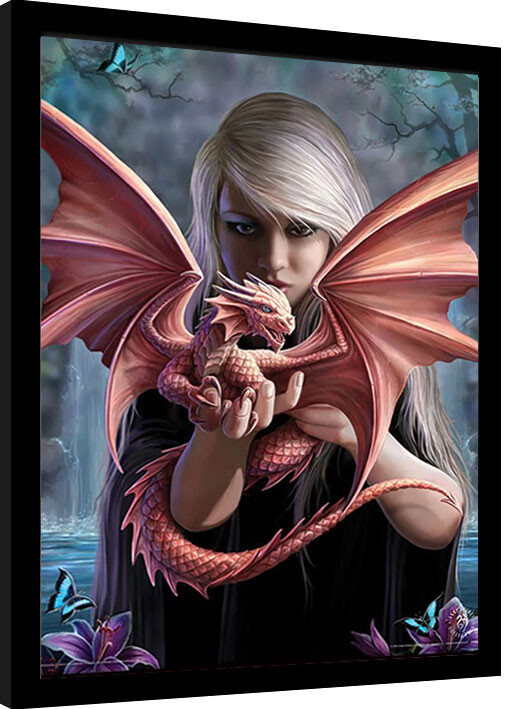 Uokvirjen plakat Anne Stokes - Dragonkin