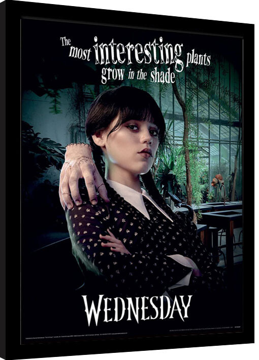 Uokvireni poster Wednesday - Shade