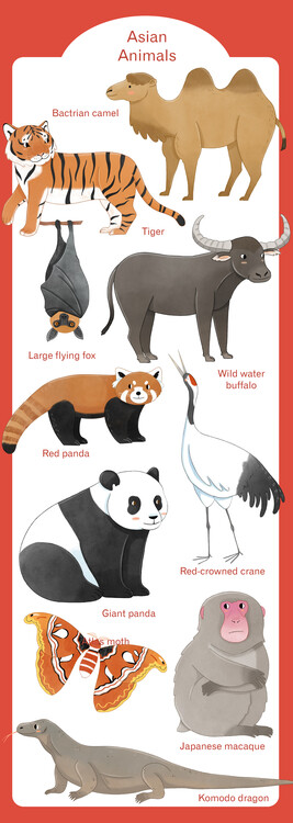 Плакат Asian Animals