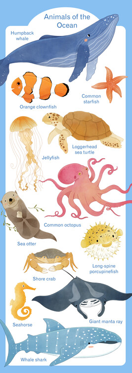 Плакат Animals of the Ocean