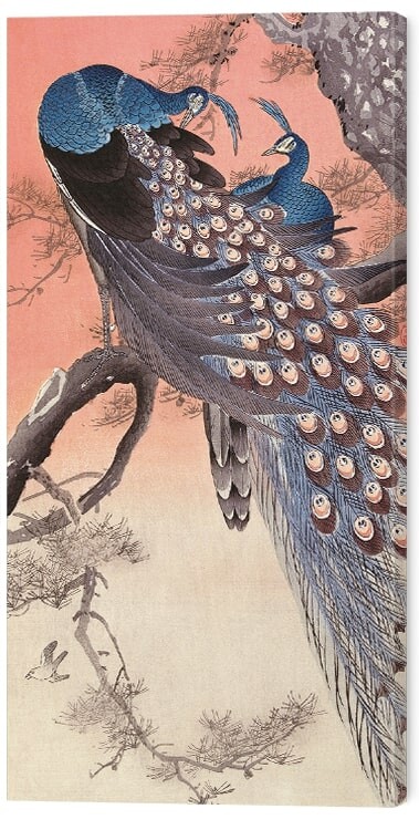Принти на полотні Ohara Koson - Two Peacocks on Tree Branch