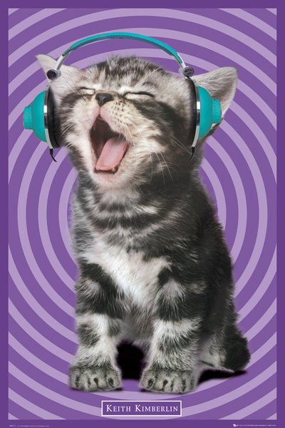 Плакат Keith Kimberlin – kitten headphones