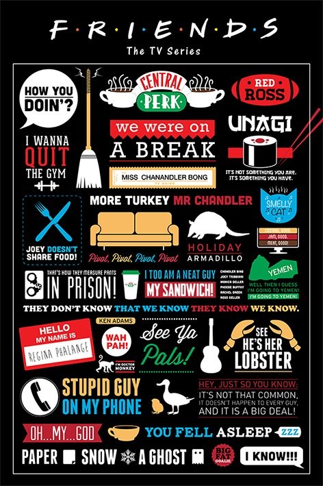 Πλαισιωμένη αφίσα FRIENDS - infographic