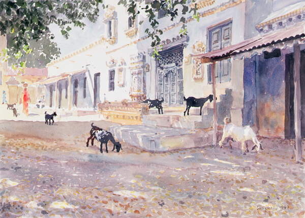 Плакат Indian Goats