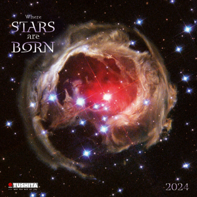 Календар 2027 Where Stars are Born