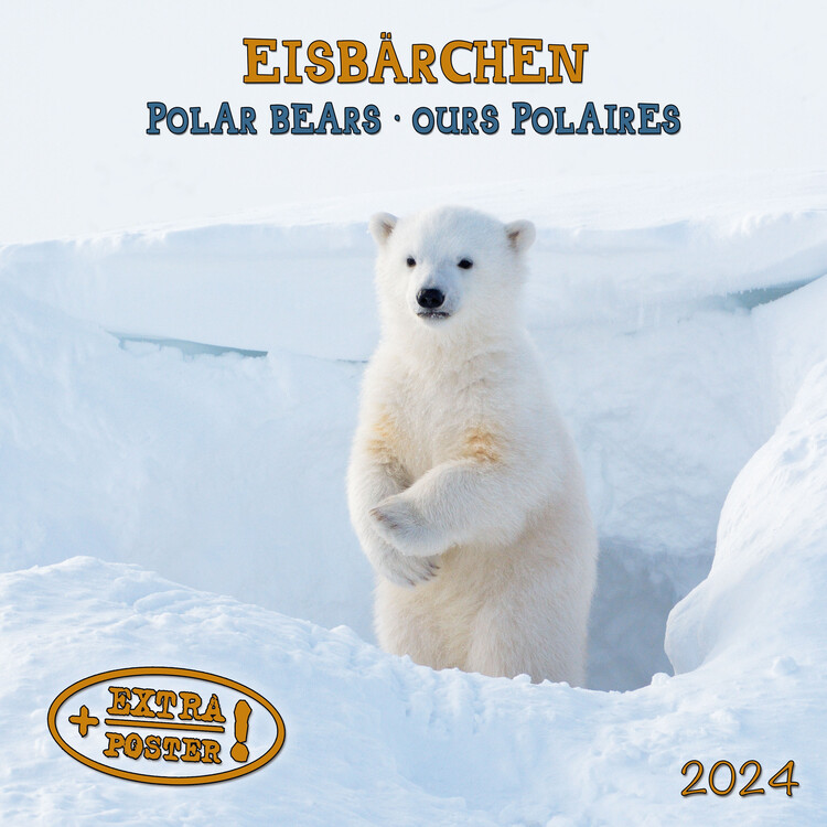 Ημερολόγιο 2027 Bears