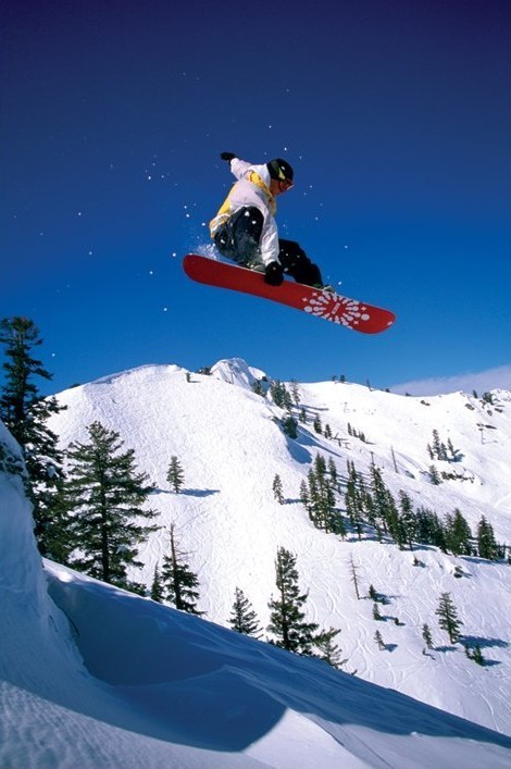 Poster Snowboarder