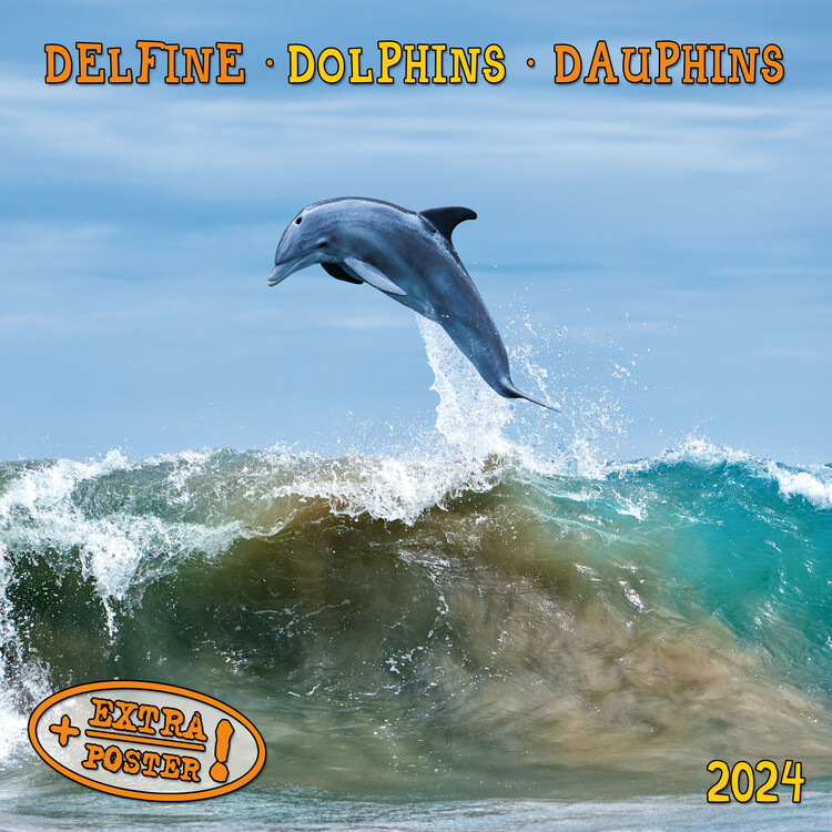 Calendar 2027 Dolphins