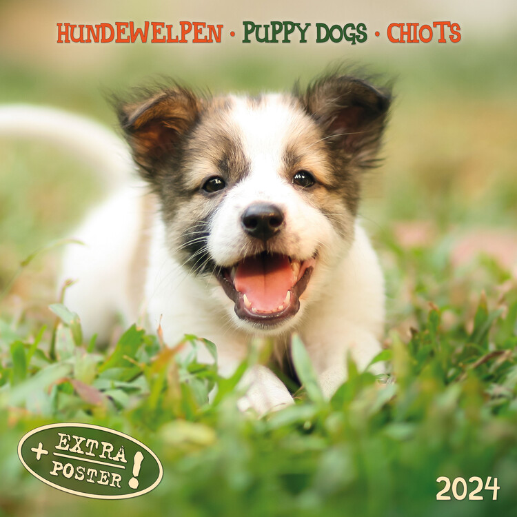 Calendar 2027 Puppy Dogs