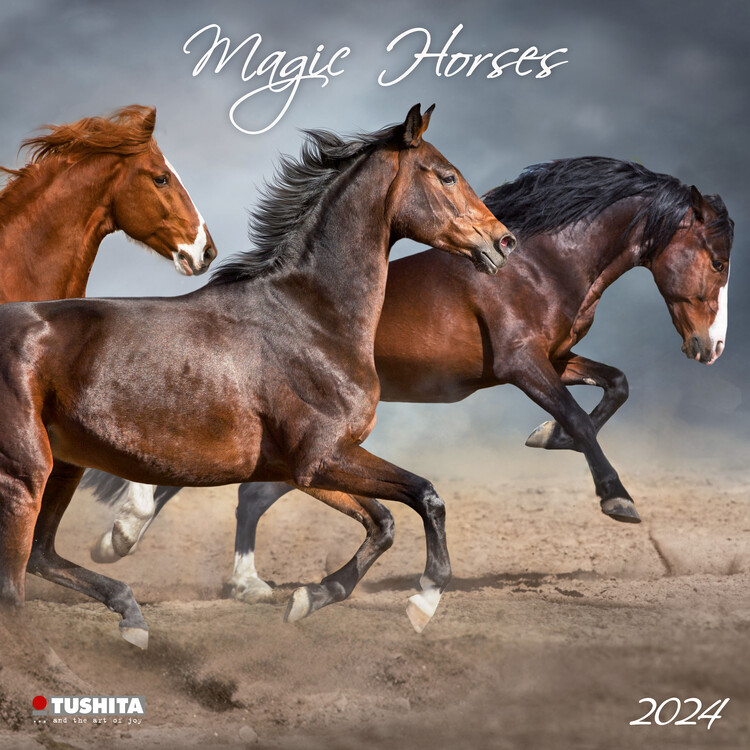 Koledar 2027 Magic Horses