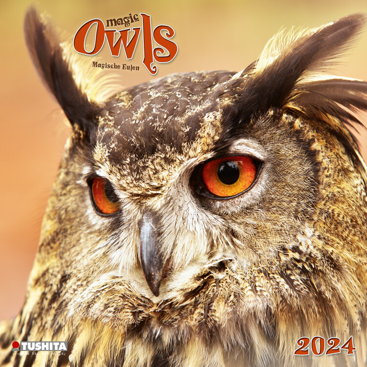 Koledar 2027 Magic Owls