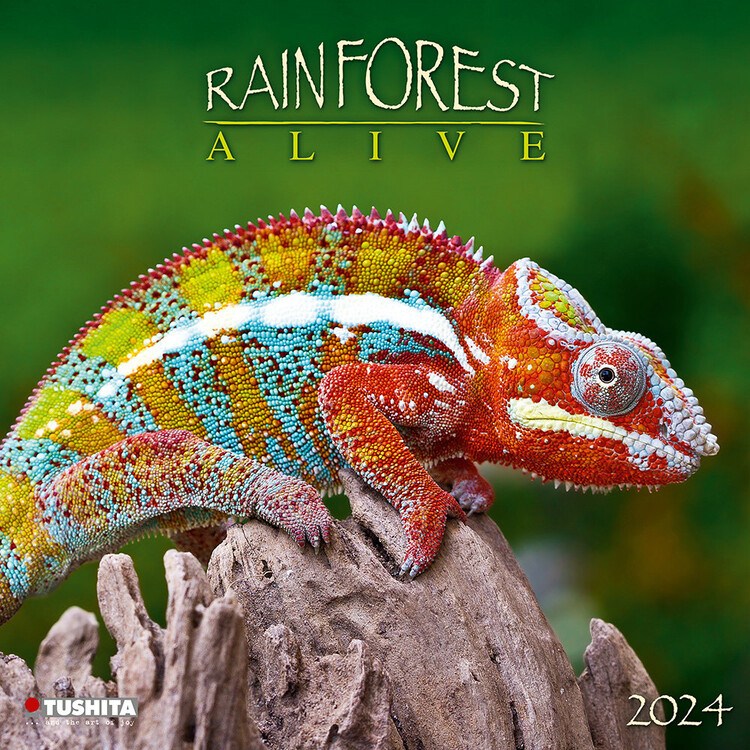 Koledar 2027 Rainforest Alive