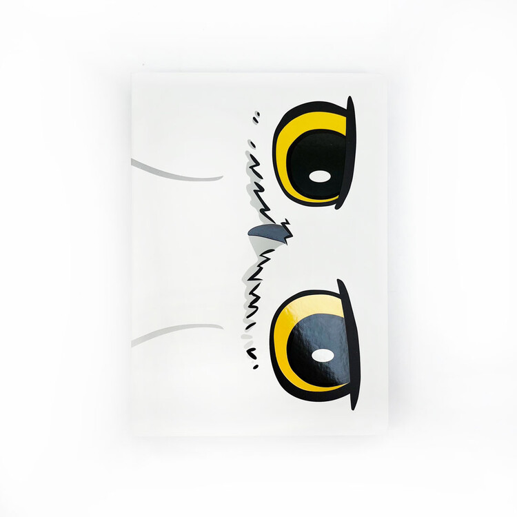 Notebook Harry Potter - Hedwig