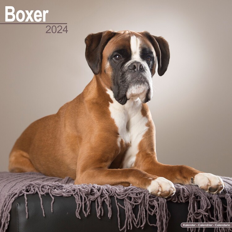 Ημερολόγιο 2027 Boxer