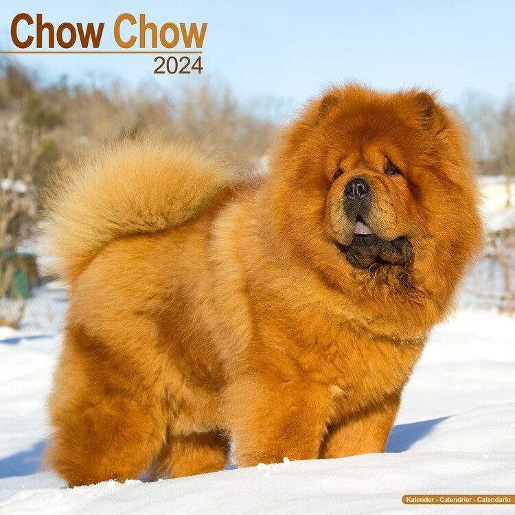 Calendar 2027 Chow Chow
