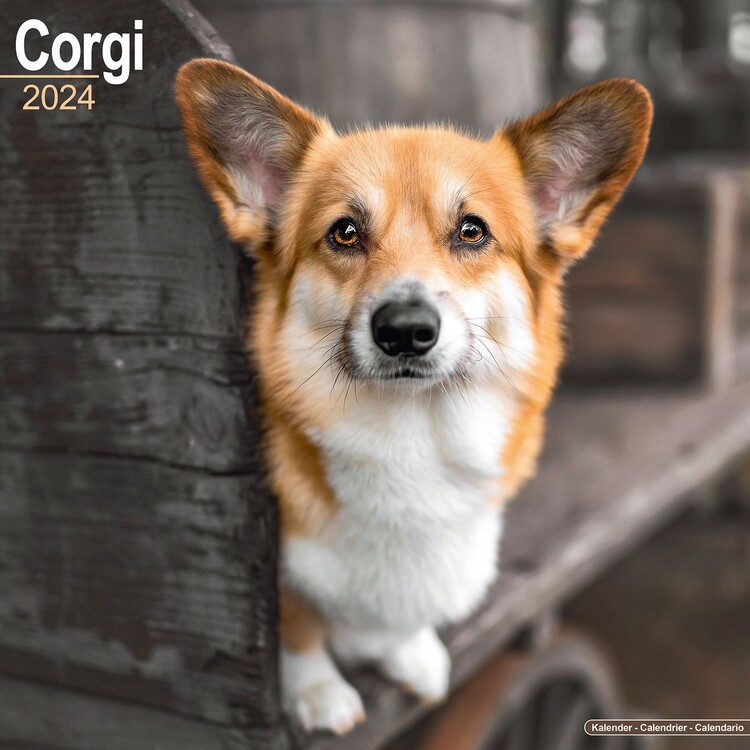 Ημερολόγιο 2027 Corgi