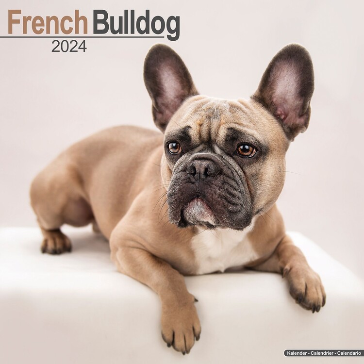 Календар 2027 French Bulldog