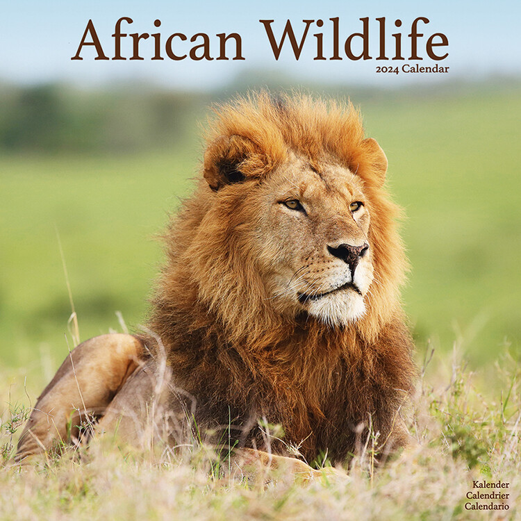 Ημερολόγιο 2027 African Wildlife