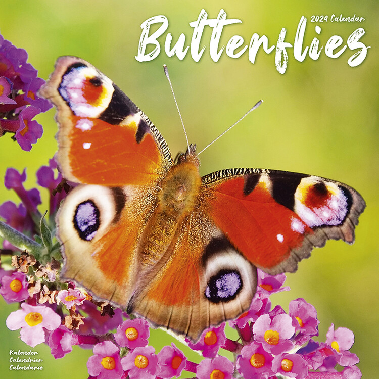 Calendar 2024 Butterflies
