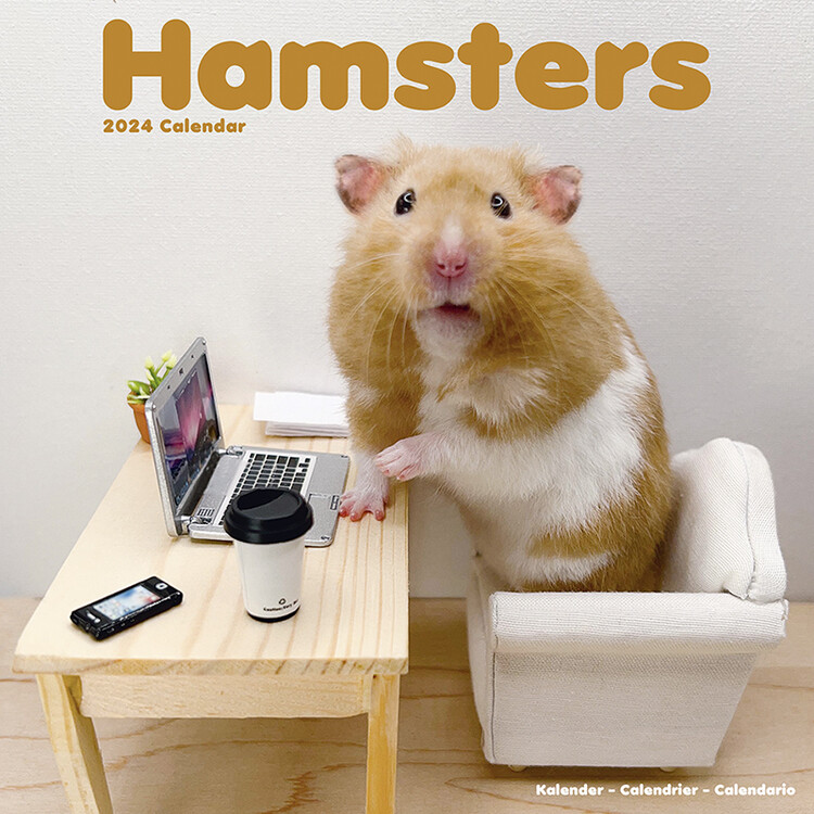 Calendário 2027 Hamsters