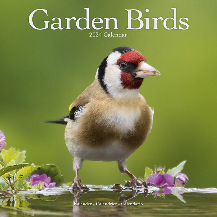 Kalenteri 2027 Garden Birds
