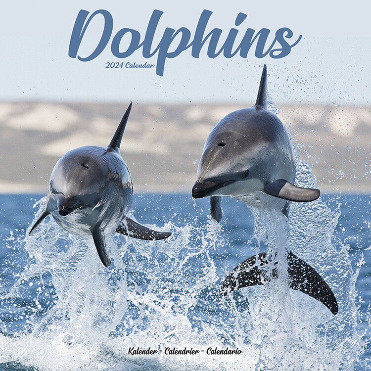 Calendário 2027 Dolphins