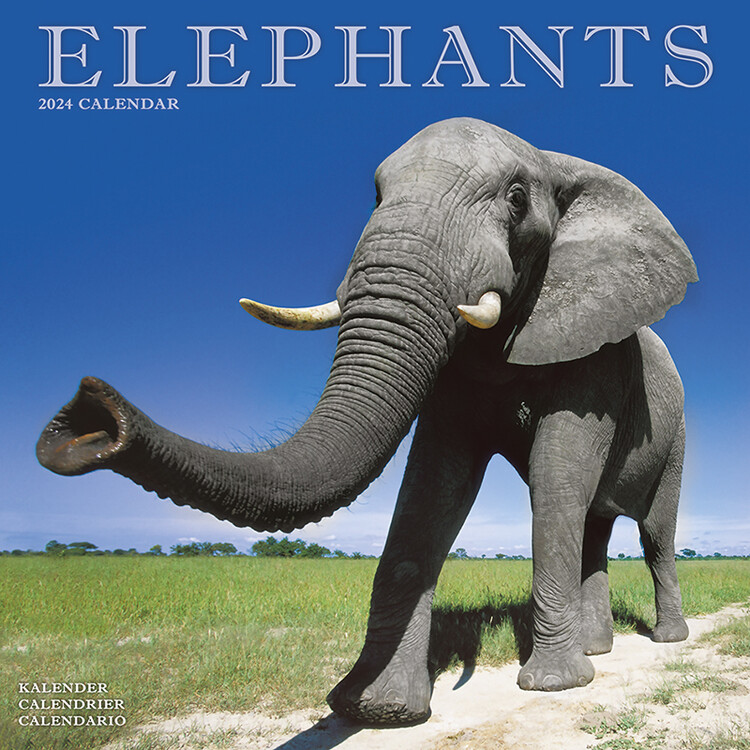 Calendário 2027 Elephants