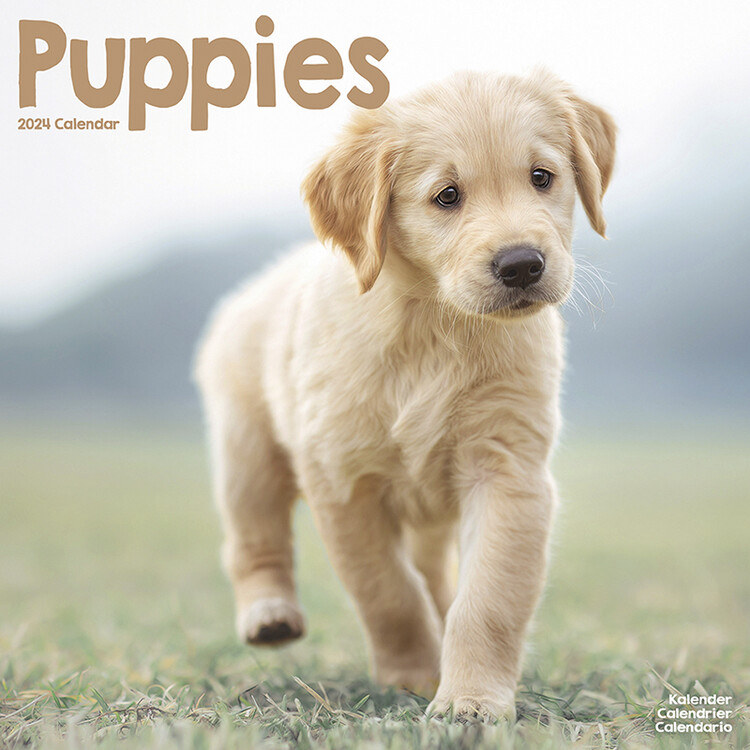 Calendar 2027 Puppies