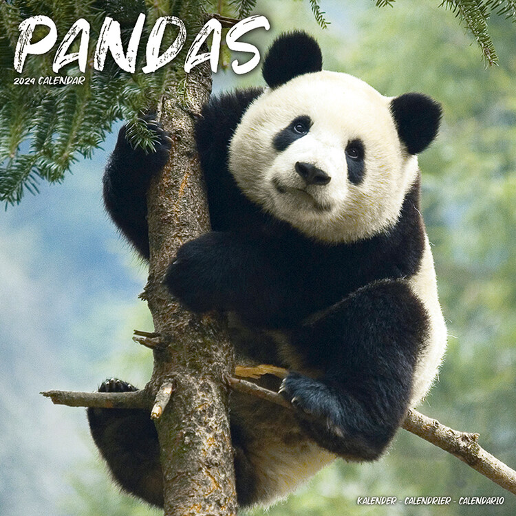 Calendar 2027 Pandas
