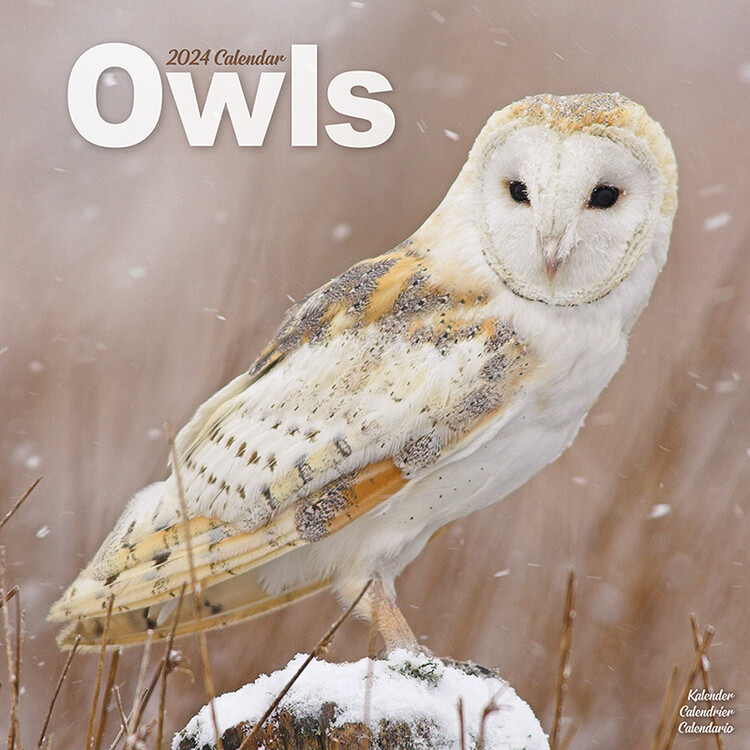 Kalenteri 2027 Owls