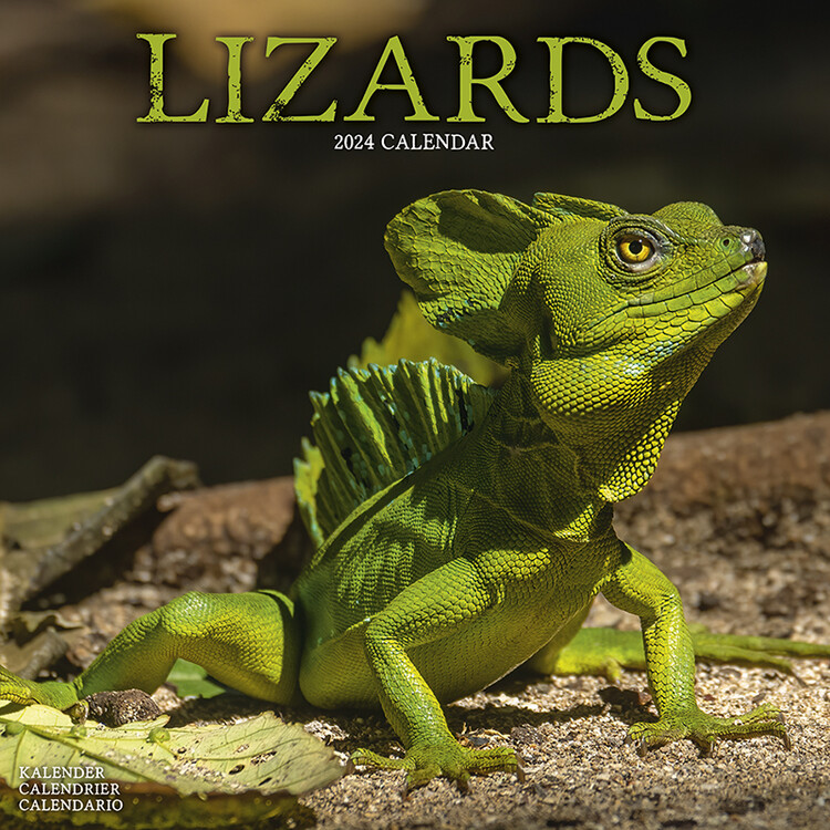 Kalenteri 2027 Lizards