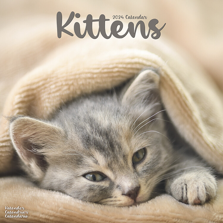 Calendar 2027 Kittens